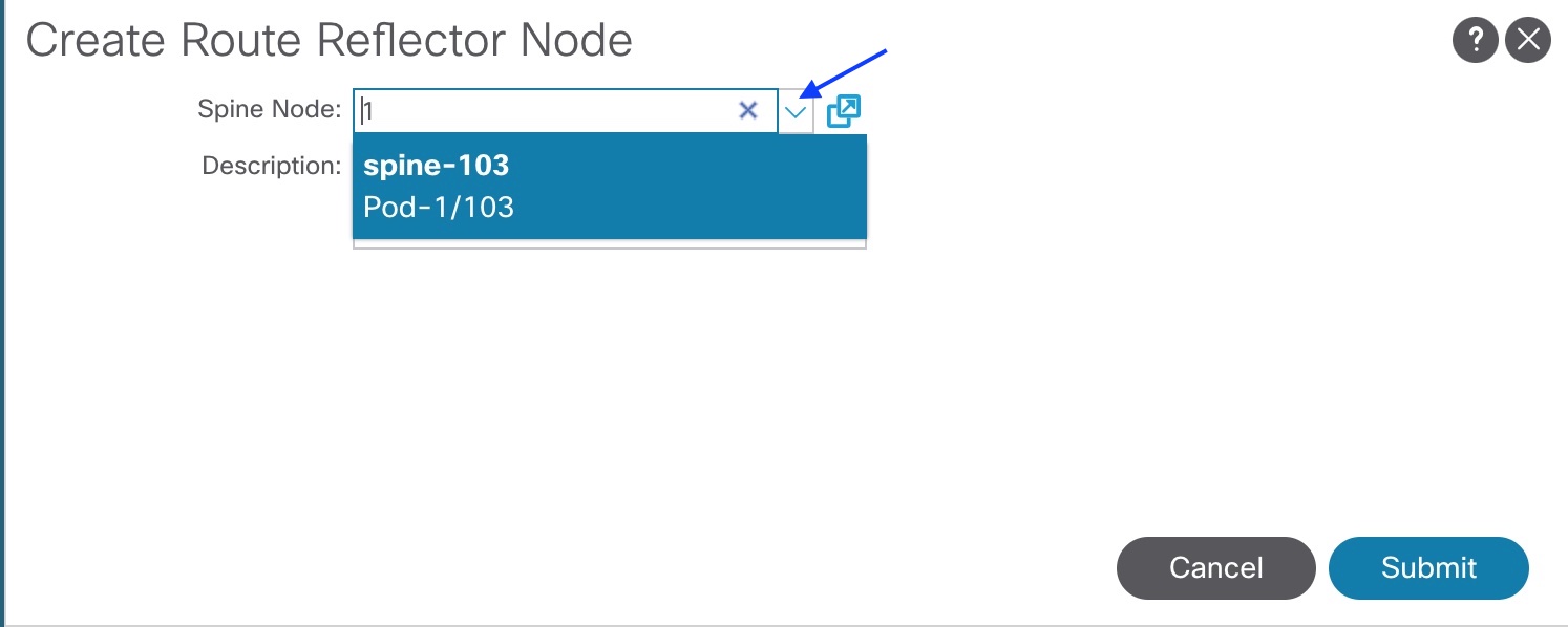 APIC BGP RR config