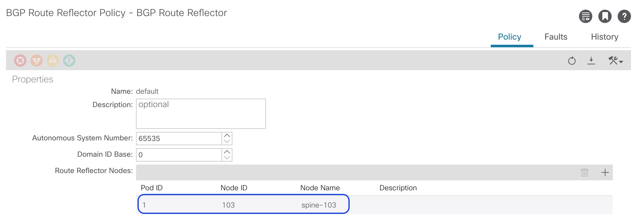 APIC BGP RR config