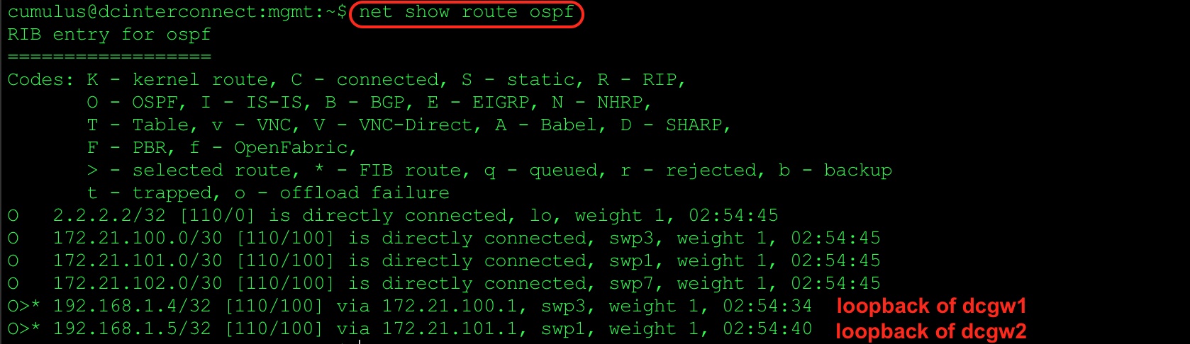 Show OSPF routes