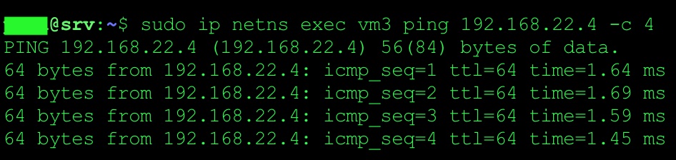  PING ICMP remote DB Server