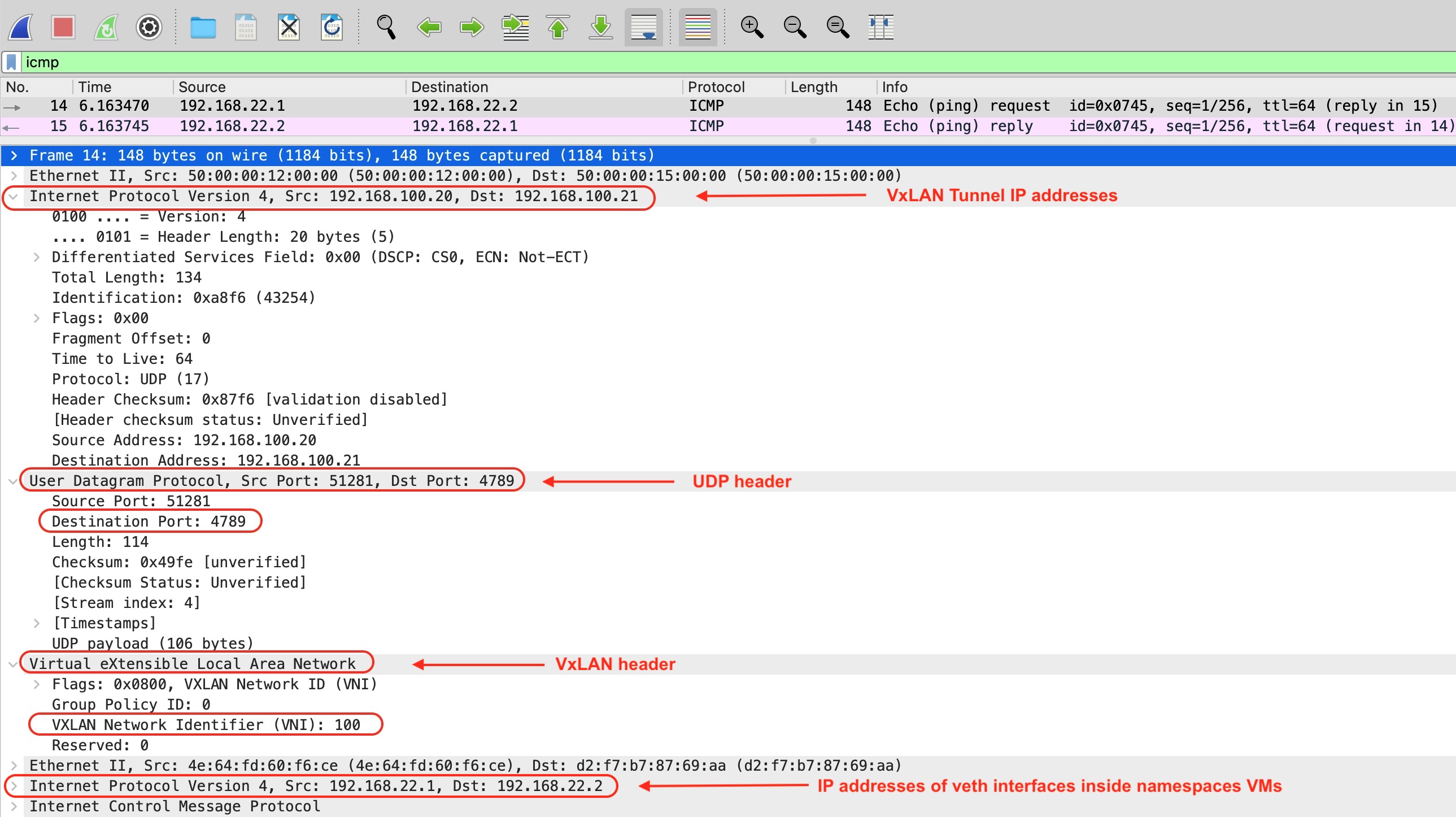 L2 frame, VxLAN, wireshark, packet capture, pcap